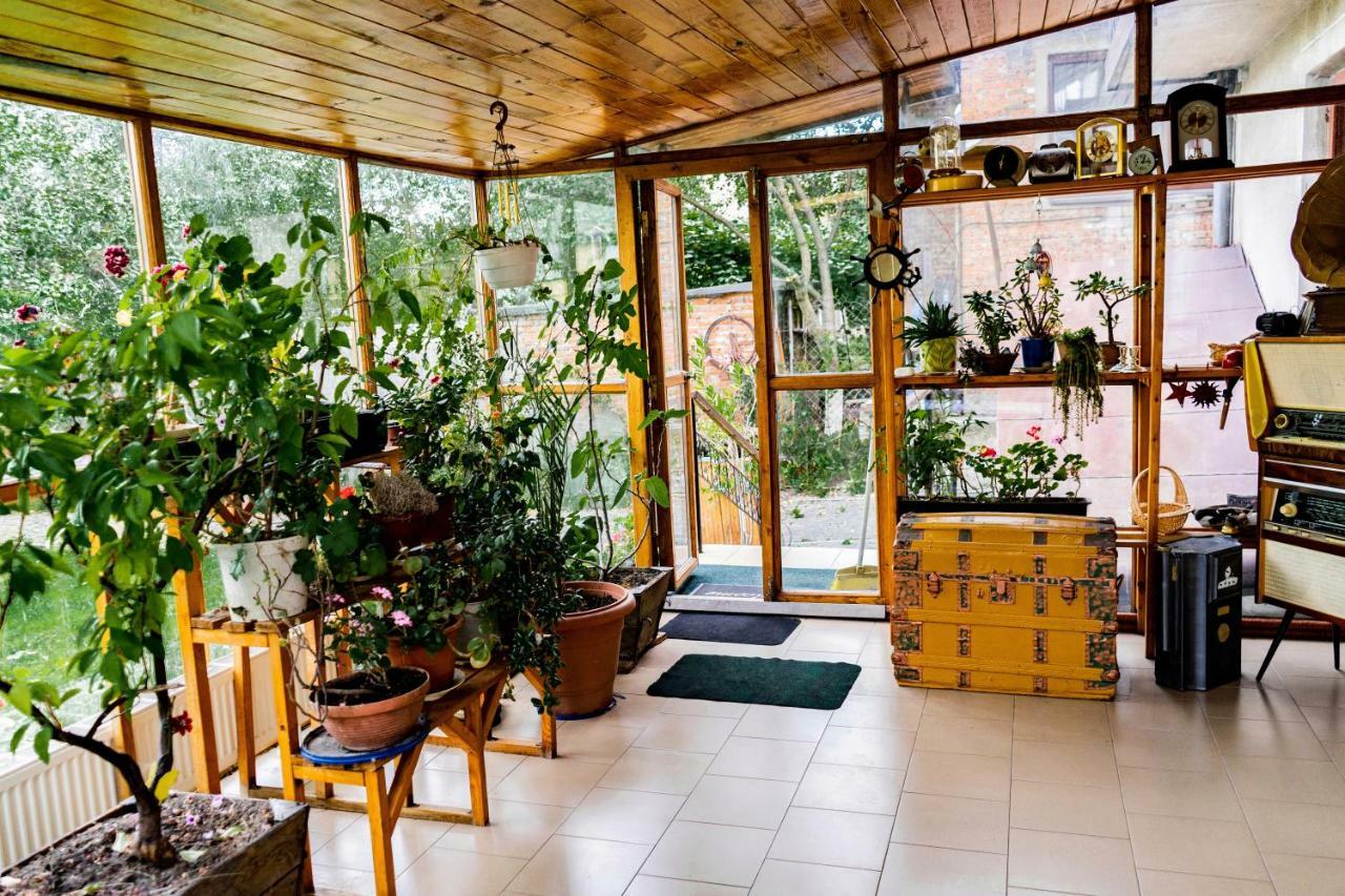 Hostel Villa Roma Lviv Eksteriør billede